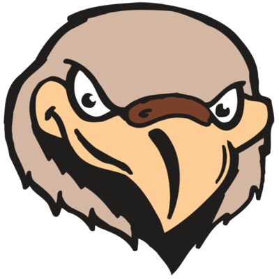 AR FALCON 33 RC Thumbnail