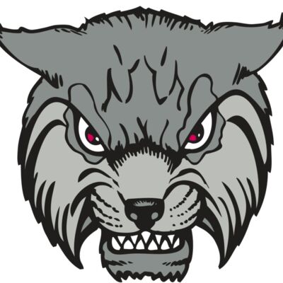 BAW BOBCAT 02 RC Thumbnail