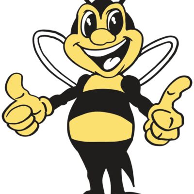 AR BEE 12 RC Thumbnail