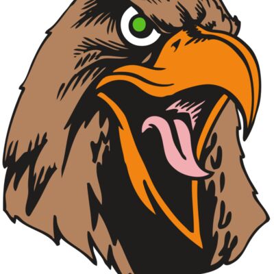 BAW HWK FLCN 01 RC Thumbnail