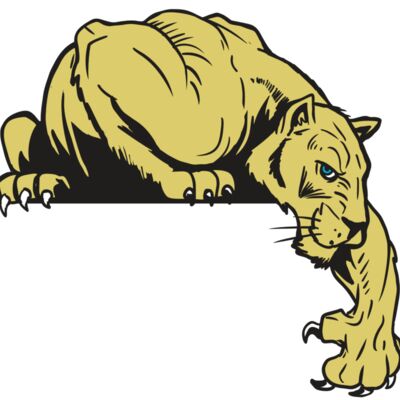 AR10 PANTHER 06 RQC Thumbnail