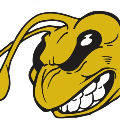 AR5 BEE 10 RQC Thumbnail