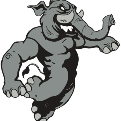 AR5 Elephant 09 RQC Thumbnail