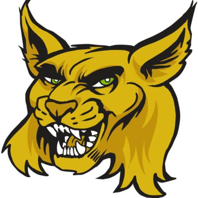 AR30 WILDCAT 03 RQC Thumbnail