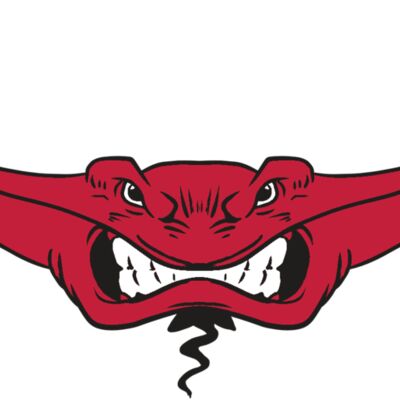 AR19 STINGRAY 03 RQC Thumbnail