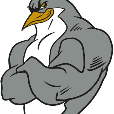 AR19 PENGUIN 01 RQC Thumbnail